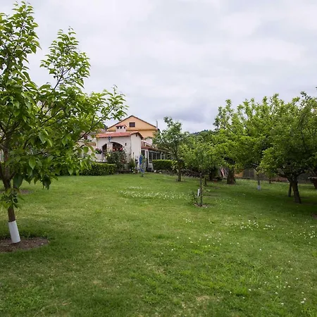 Apartment Casa 